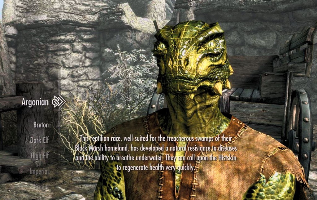 Argonians are an underrated race for mage builds in Skyrim 