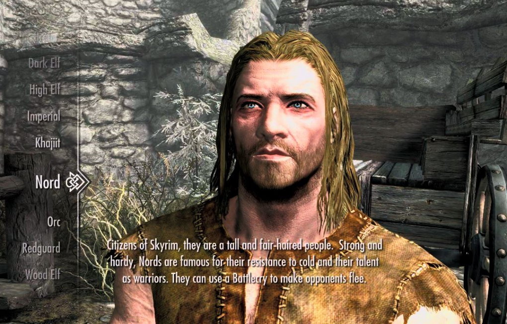 The Skyrim race of Nords are powerful warriors who can make their enemies flee