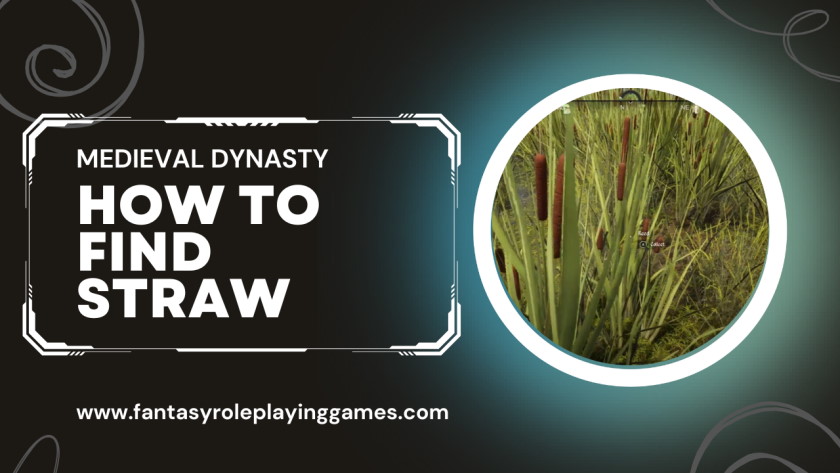 Medieval Dynasty How to find straw