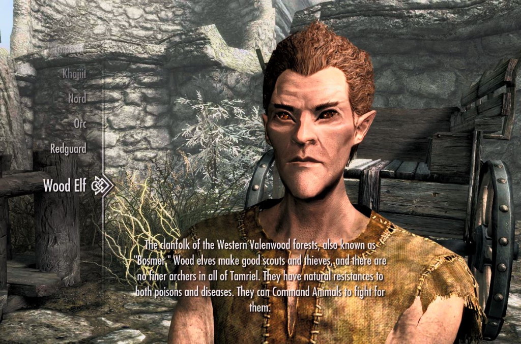  Best Skyrim race for an archer build would be the Bosmer (Wood Elf)