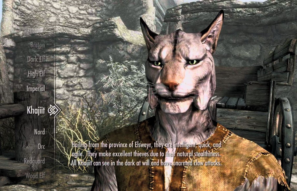   Another great Skyrim race for an archer build would be the Khajiit