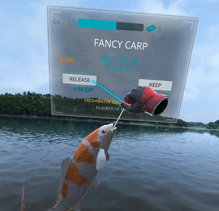 Real VR Fishing on Meta Review - Catching Fancy Carp